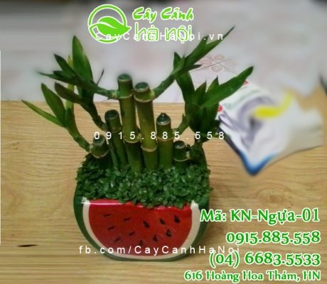 cho-thue-cay-canh-1-300x400 Giải pháp cho thuê cây cảnh - mang thiên nhiên đến với bạn một cách tiết kiệm nhất