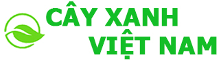 CÂY PHÁT LỘC - Cây Xanh Việt Nam